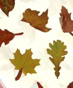 Mrs. Grossman's Paper Co Mrs. Grossman's Stickers: Falling Leaves Stationery