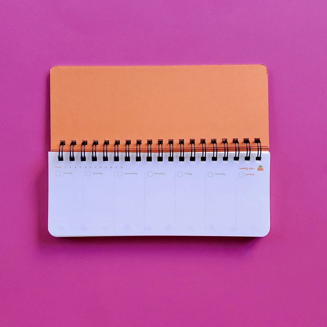 Wholesale ๐ PINKFOOT Carrot Weekly Scheduler: Pink Cover ๐งจ 3 PINKFOOT Carrot Weekly Scheduler: Pink Cover