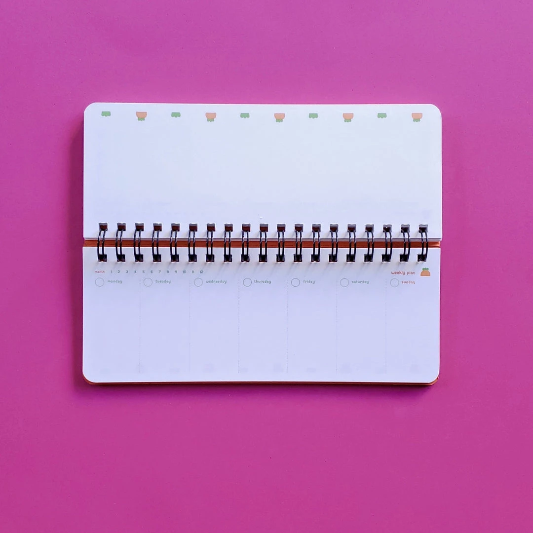 Wholesale ๐ PINKFOOT Carrot Weekly Scheduler: Pink Cover ๐งจ 4 PINKFOOT Carrot Weekly Scheduler: Pink Cover